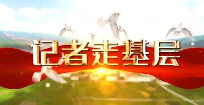 【记者走基层】化龙堰镇：壮大特色优势产业 助力乡村振兴