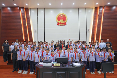 法院开放日护“未”成长 共育花开