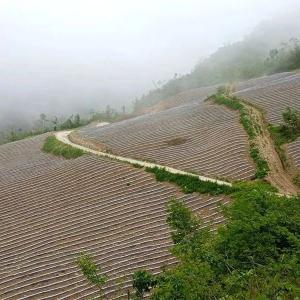 房县创新探索数字乡村运营新模式—— 村民乐当股东 分红即时到账