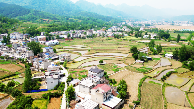 青峰镇：民呼我为，接诉即办