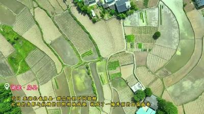 湖北房县：田间地头披“新绿”  奏响万象“耕”新曲