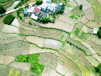 田间地头披“新绿”  房县农户插秧忙