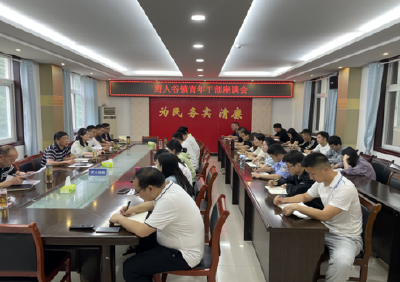 野人谷镇：凝聚青春力量 展现青年担当