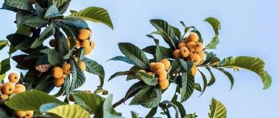 传统产业升级、新兴产业壮大、未来产业培育“三线并进” 湖北竞速新质生产力