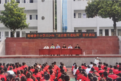 普法宣传进校园 保驾护航助成长