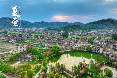奏响乡村振兴的春日和弦——“全国文明村”湖北省安陆市赵棚镇团山村农文旅融合发展见闻
