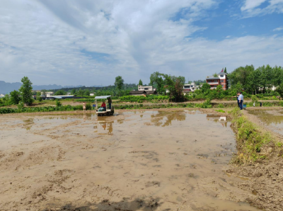 “三夏”农机服务忙  报废更新添助力