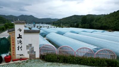 丁杰赴化龙堰镇调研乡村振兴、产业发展和社会治理工作