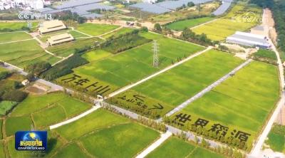 学习卡丨守护好中华民族的文化瑰宝！