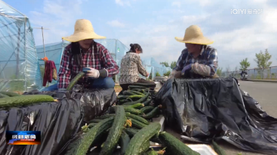 房县搭建平台助力“农超对接”