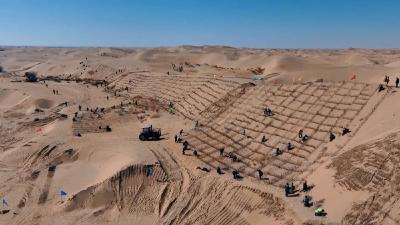 幸会中国 | 荒漠变林海，三北工程绘出生态奇迹