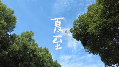 今日夏至！夏日悠长，愿所有美好如约而至