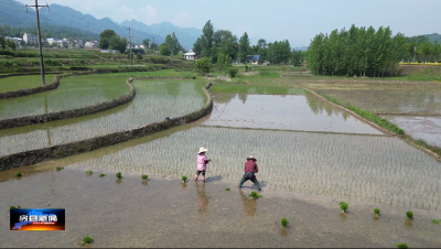 诗酒田园 风光无限 ——三海村农文旅融合发展纪略