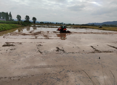 芒种日 忙种时：房县农机服务“三夏”抢收抢种
