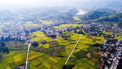 房县畜牧兽医服务中心：“三方联动”有效化解30年前矛盾纠纷