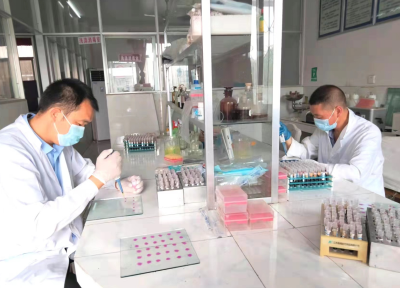 房县动物疫病预防控制中心：全域开展畜禽免疫抗体检测专项行动 