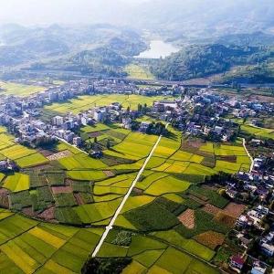 房县加强耕地保护节约集约出实招 