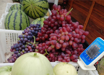 军店镇：葡萄丰收采摘忙，特色产业促增收