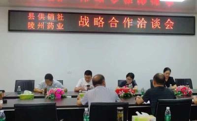 房县供销社:深入陵州药业有限公司，调研探索深度合作发展之路