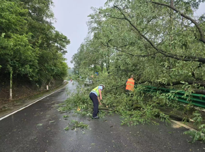 青峰镇：温情守护“雨”你同行 交警路政联动清理“拦路虎”