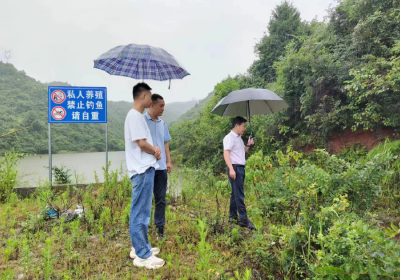 化龙堰镇：靶向施治 筑牢防汛“安全堤”