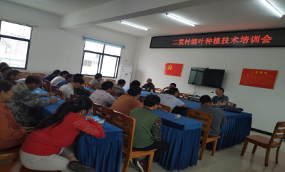 上龛乡二荒村召开烟叶技术培训会