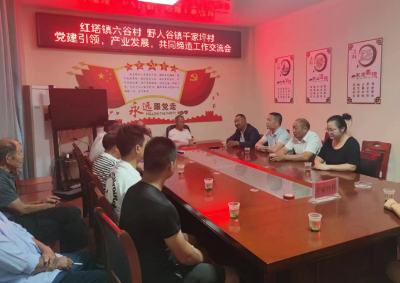 红塔镇：支部共建聚合力 经验交流促发展