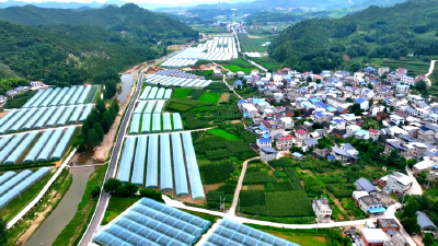 化龙堰镇：组建片区强村党委，引领产业连片振兴