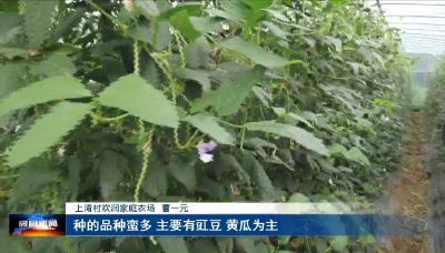 化龙堰镇上湾村党支部：党建引领建设和美乡村