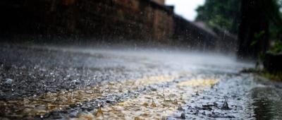 窑淮镇淮水村：紧绷“防汛弦”筑牢“安全墙