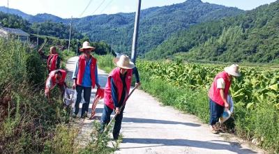 土城镇：环境整治齐发力 和美乡村“靓”起来