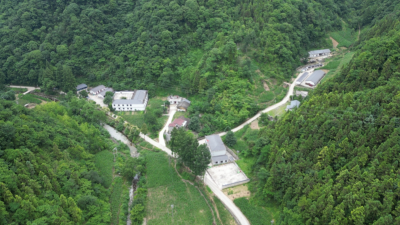 人人施巧手 共同织锦绣 ——房县凝聚“共同缔造”合力助推乡村振兴