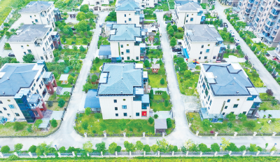 “森林家园”美如画