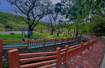 野人谷镇：党建引领聚合力 共同缔造促发展