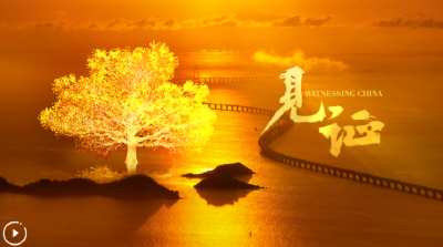 创意视频｜见证