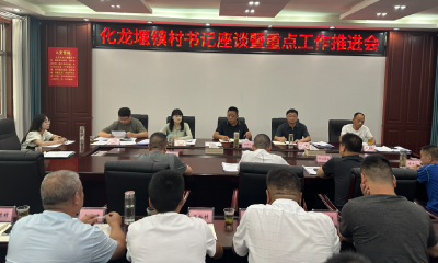 化龙堰镇：召开村书记座谈会