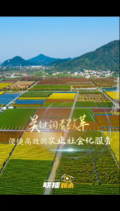 联播观察｜关键词看改革 便捷高效的农业社会化服务