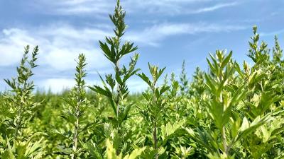 房县生态环境局：技能比武展风采 以赛提能淬精兵