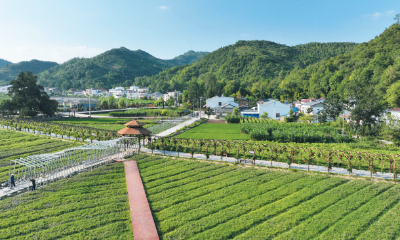 房县生态环境局查处一起非法贮存危险废物案件