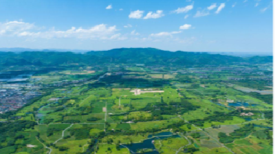 军店镇：移风易俗举措实，文明新风润民心