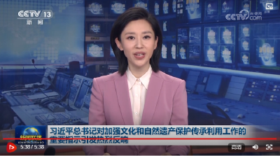 习近平总书记对加强文化和自然遗产保护传承利用工作的重要指示引发热烈反响