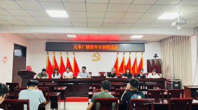 大木厂镇：展青年担当 扬思辨新风