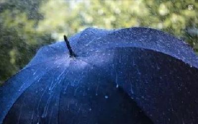 杨仕佼 | 在桥上看雨