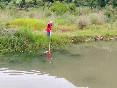 青峰镇：开展“清漂”专项行动 全力守护河畅水清