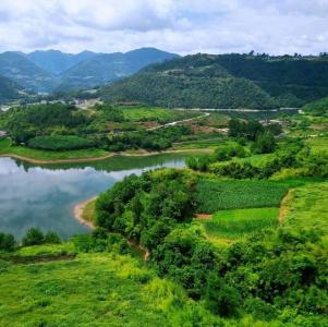 党的二十届三中全会学习辅导材料在房县新华书店发行