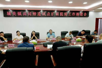 城关镇：深化共同缔造 推进全域扩面