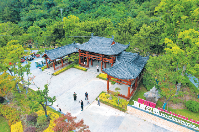 口袋公园 绿意盎然