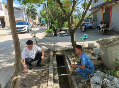  白鹤镇：狠抓群腐专项整治 守护百姓健康福祉