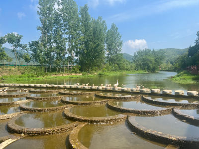 化龙堰镇：多措并举 推进人居环境整治工作见成效