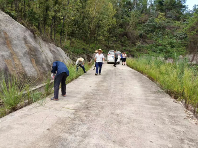 青峰镇：不负夏季好时光 农村公路养护忙